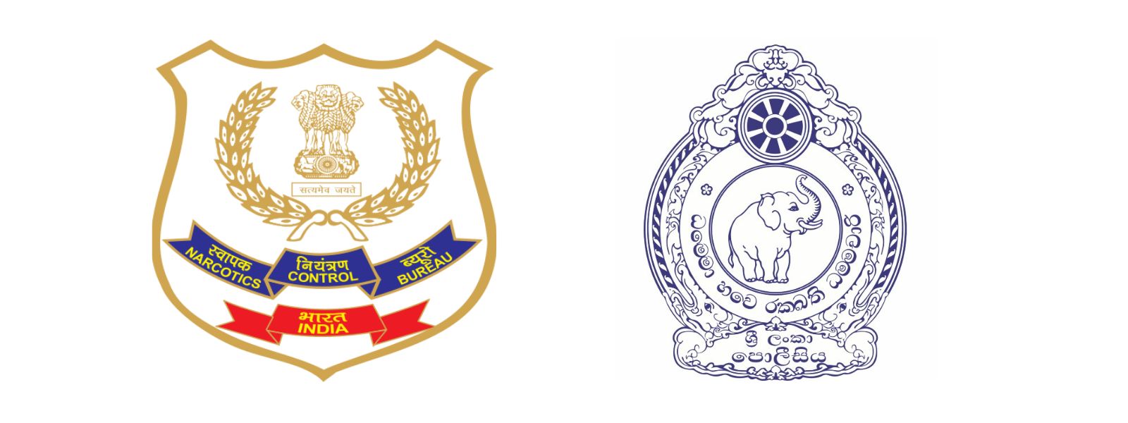 Efforts to Curb Cross-Border Drug Trafficking